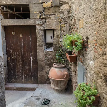 Scala Santa بيت ضيافة فيرناتْسا